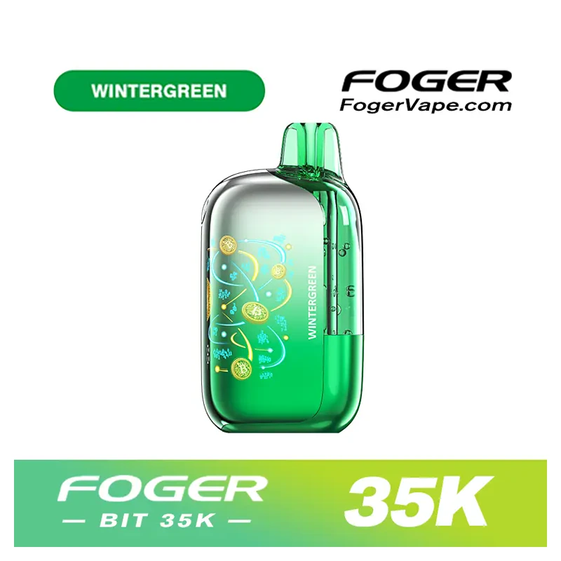FOGER BIT 35K Disposable Vape 5% WINTER GREEN