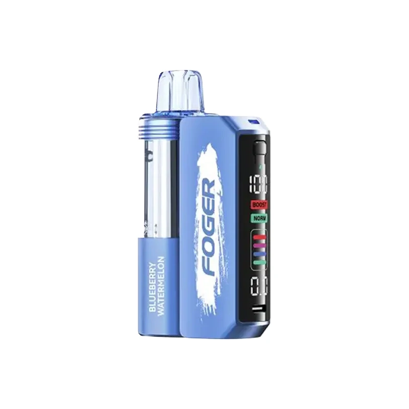 FOGER Switch Pro 30K Kit 5% 19ml BLUEBERRY WATERMELON