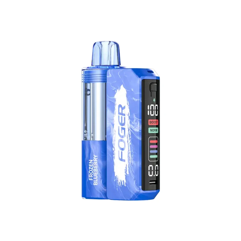FOGER Switch Pro 30K Kit 5% 19ml FROZEN BLUEBERRY
