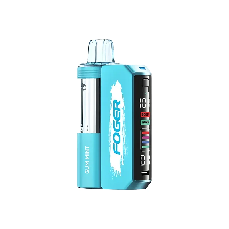 FOGER Switch Pro 30K Kit 5% 19ml GUM MINT