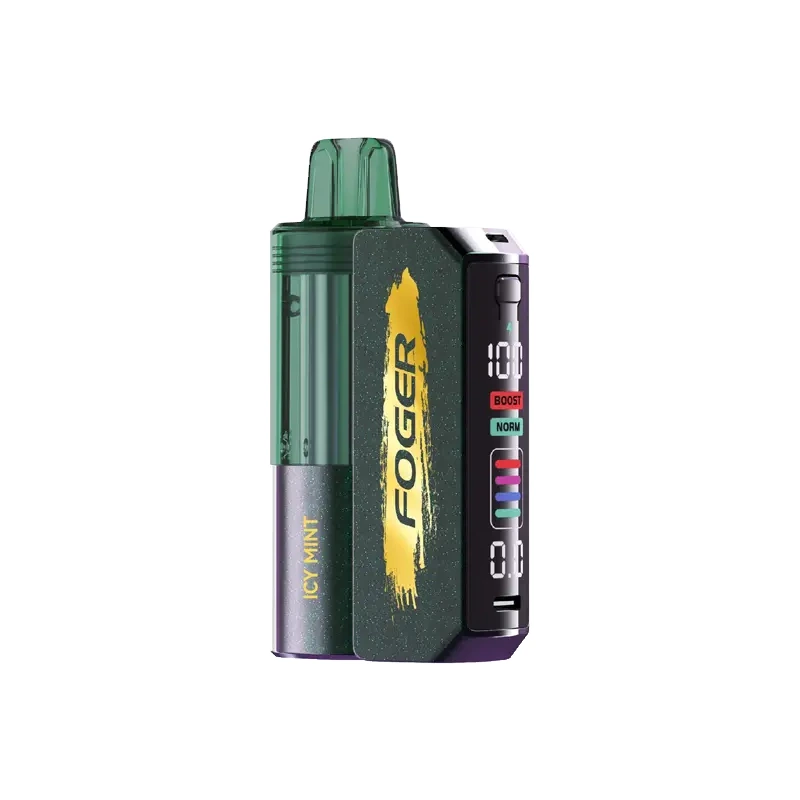 FOGER Switch Pro 30K Kit 5% 19ml ICY MINT