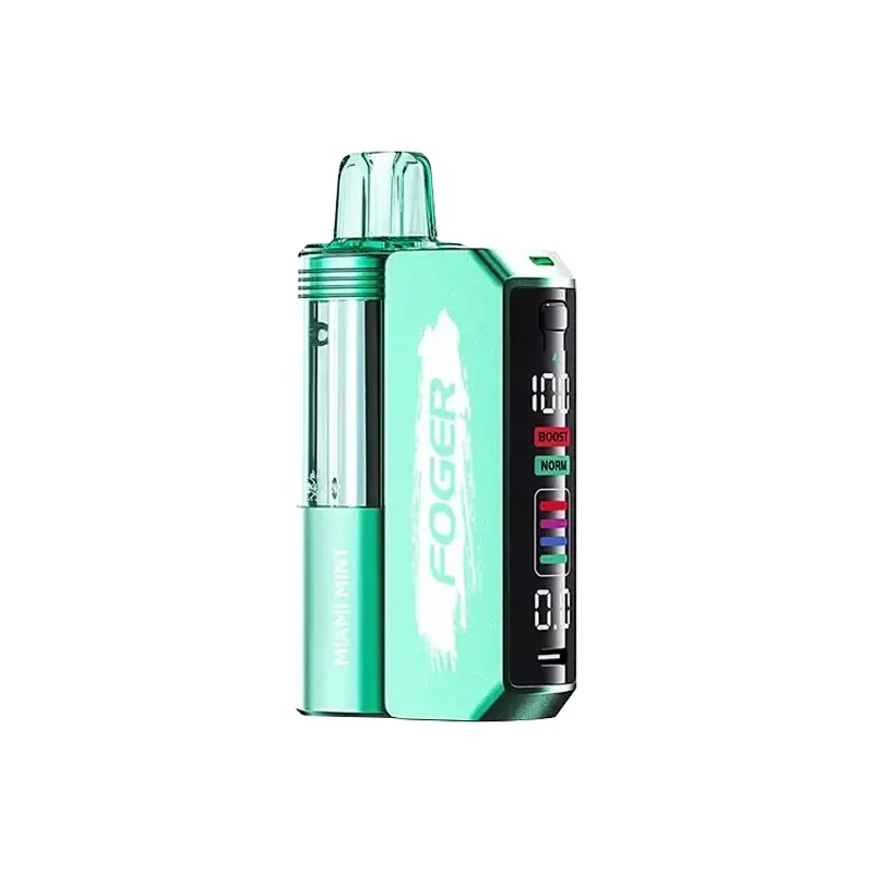 FOGER Switch Pro 30K Kit 5% 19ml MIAMI MINT