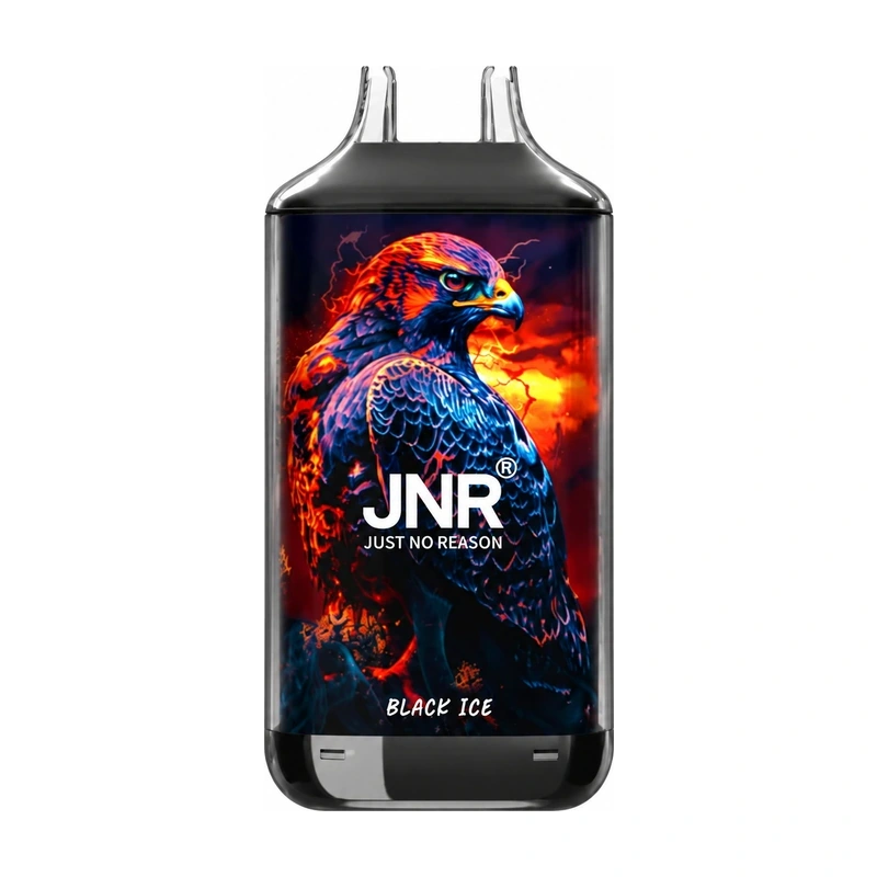 JNR Falcon 16K 2% 22ml BLACK ICE