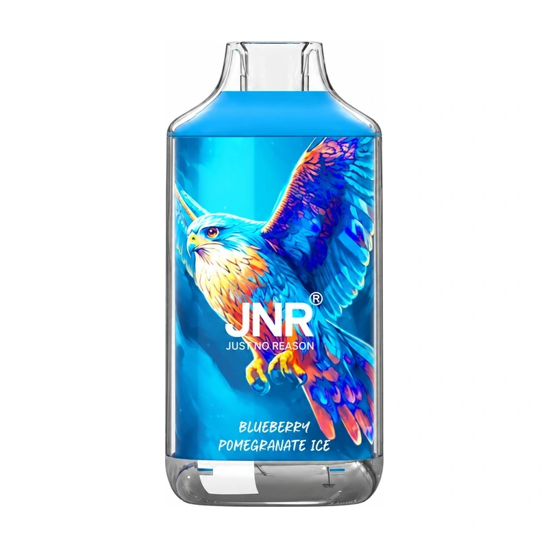 JNR Falcon 16K 2% 22ml BLUEBERRY POMEGRANATE ICE