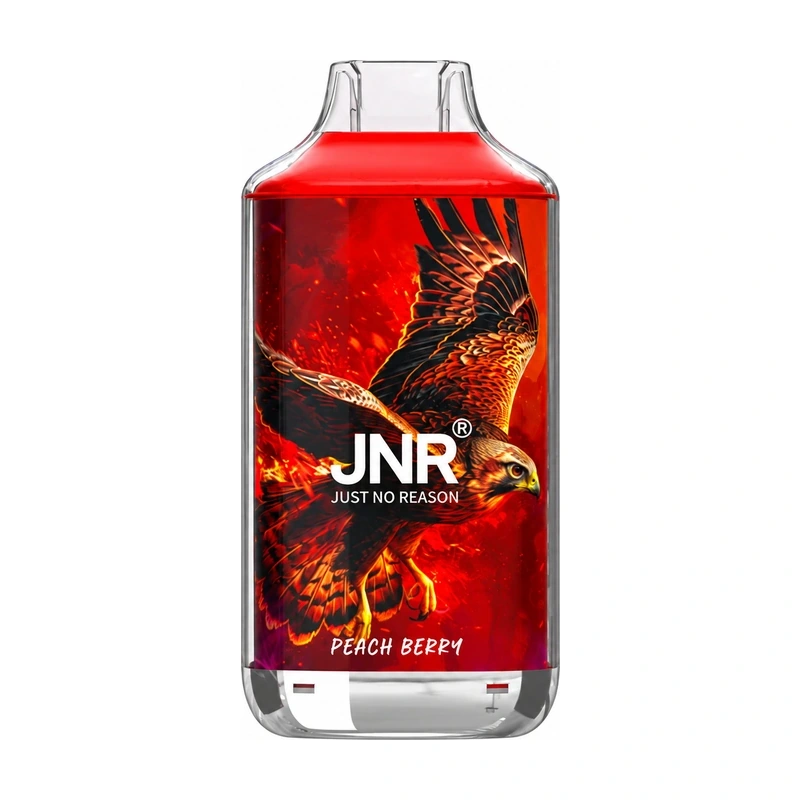 JNR Falcon 16K 2% 22ml PEACH BERRY