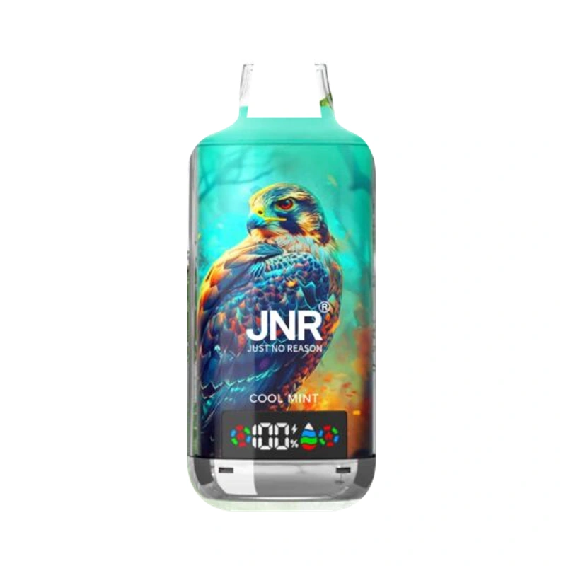 JNR Falcon X 18K 2% 24ml COOL MINT