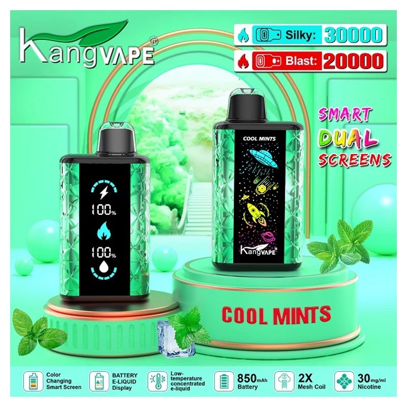Kangvape 30K 3% 25ml Rechargeable Disposable Vape COOL MINTS