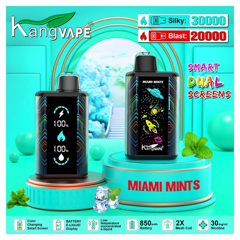 Kangvape 30K 3% 25ml Rechargeable Disposable Vape MIAMI MINTS