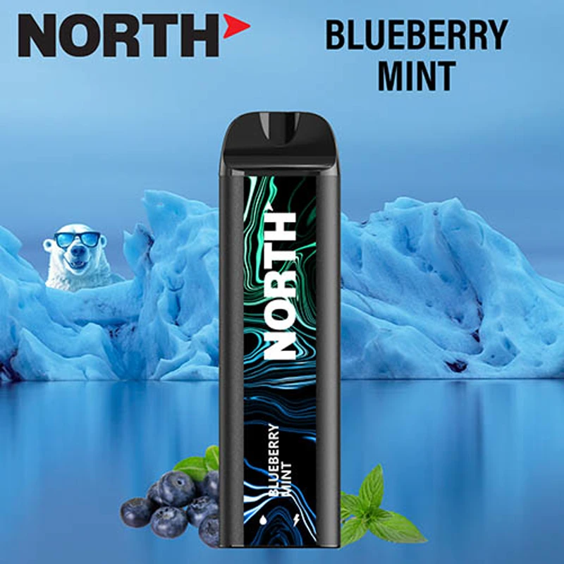 North Vape North 5000 Disposable Vape 3% / 5% 10ml BLUEBERRY MINT · 5%
