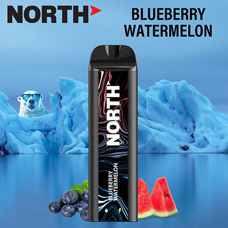 North Vape North 5000 Disposable Vape 3% / 5% 10ml BLUEBERRY WATERMELON · 5%