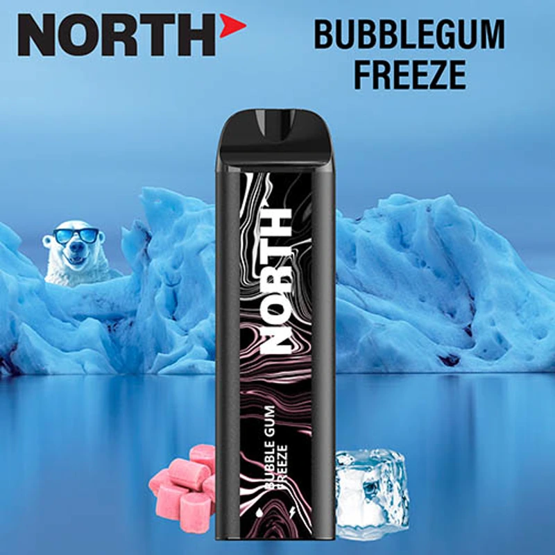 North Vape North 5000 Disposable Vape 3% / 5% 10ml BUBBLE GUM FREEZE · 5%