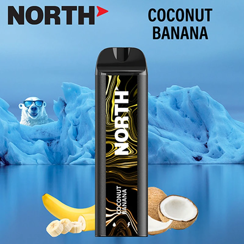 North Vape North 5000 Disposable Vape 3% / 5% 10ml COCONUT BANANA · 5%