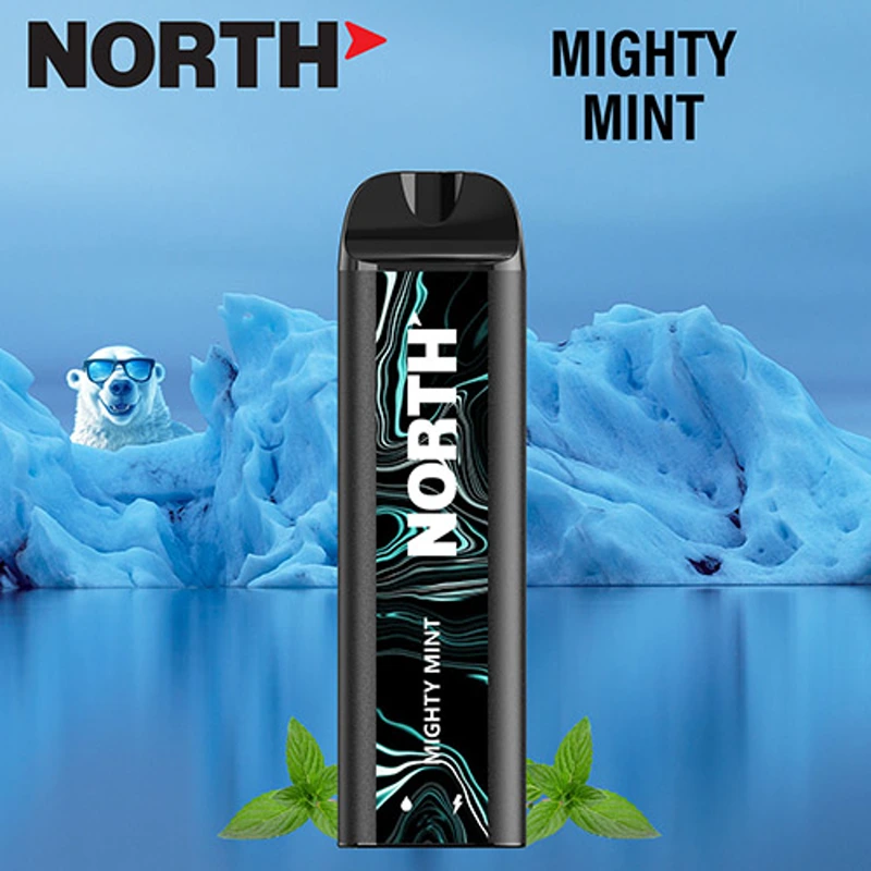 North Vape North 5000 Disposable Vape 3% / 5% 10ml MIGHTY MINT · 5%