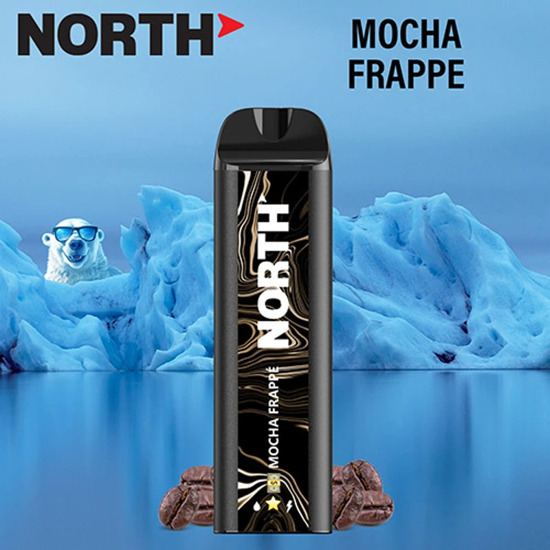 North Vape North 5000 Disposable Vape 3% / 5% 10ml MOCHA FRAPPE · 5%