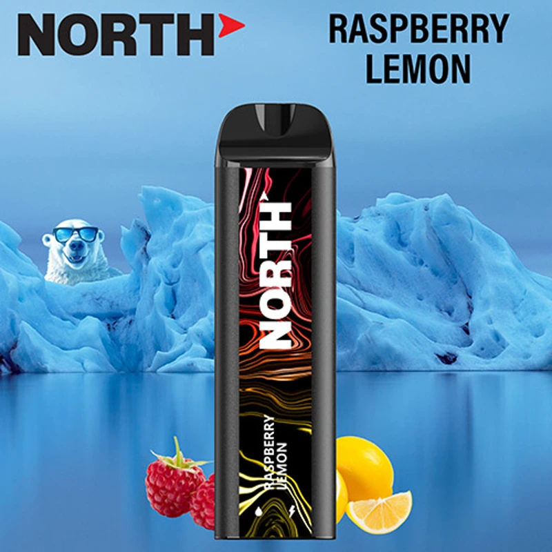 North Vape North 5000 Disposable Vape 3% / 5% 10ml RASPBERRY LEMON · 5%