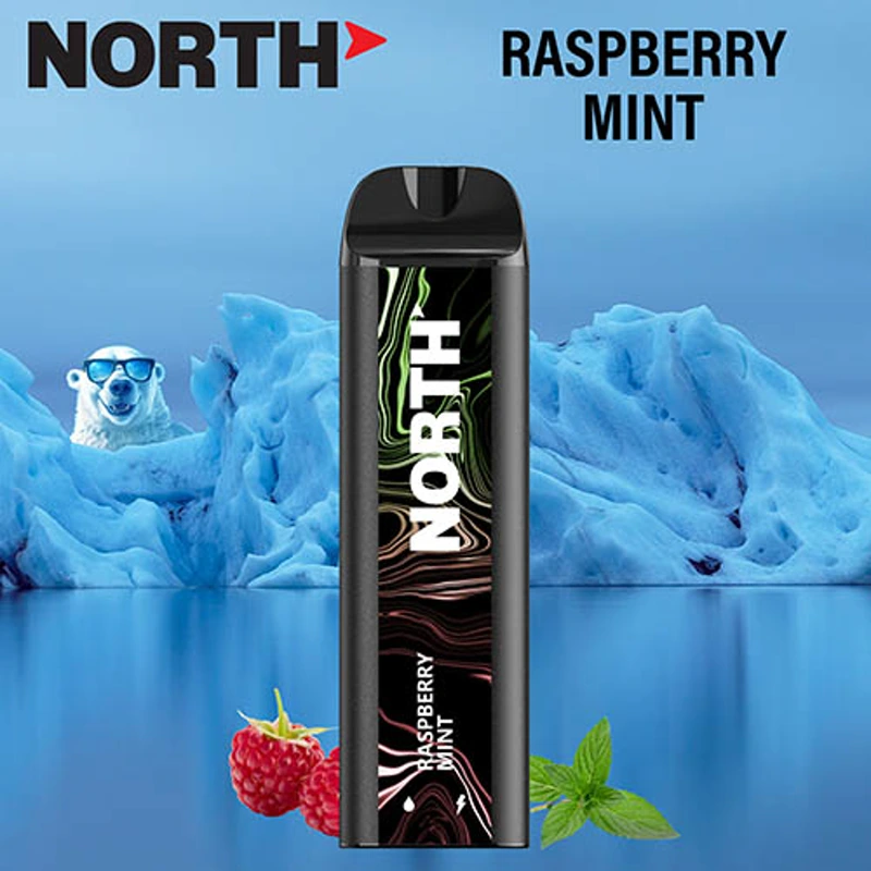 North Vape North 5000 Disposable Vape 3% / 5% 10ml RASPBERRY MINT · 5%