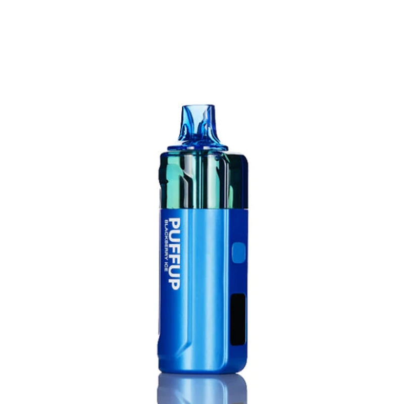 Puffup 25K Disposable Vape 5% 15ml BLACKBERRY ICE