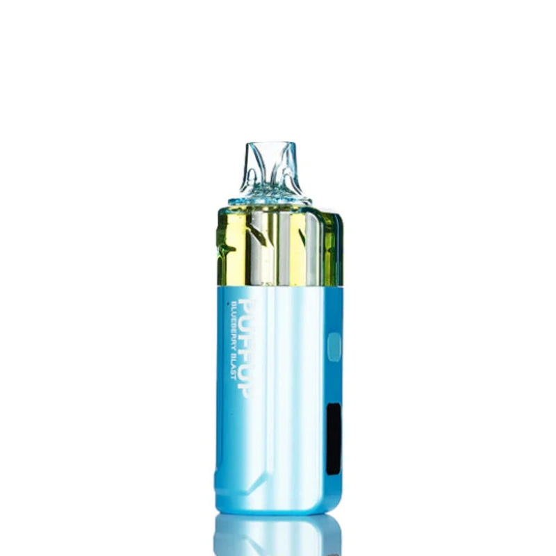 Puffup 25K Disposable Vape 5% 15ml BLUEBERRY BLAST