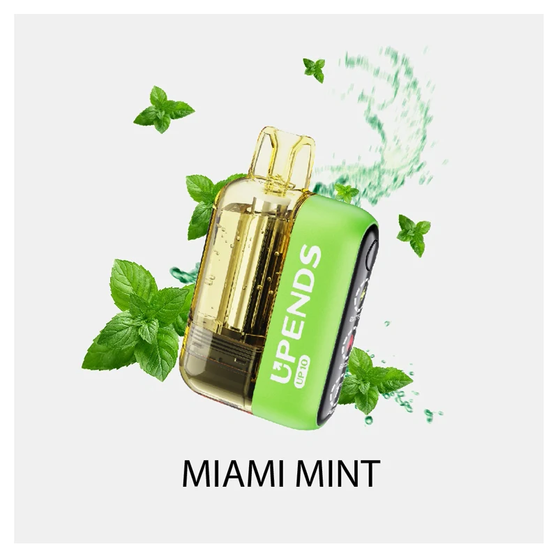 UPENDS UP10 30K Disposable Vape 5% 18ml MIAMI MINT