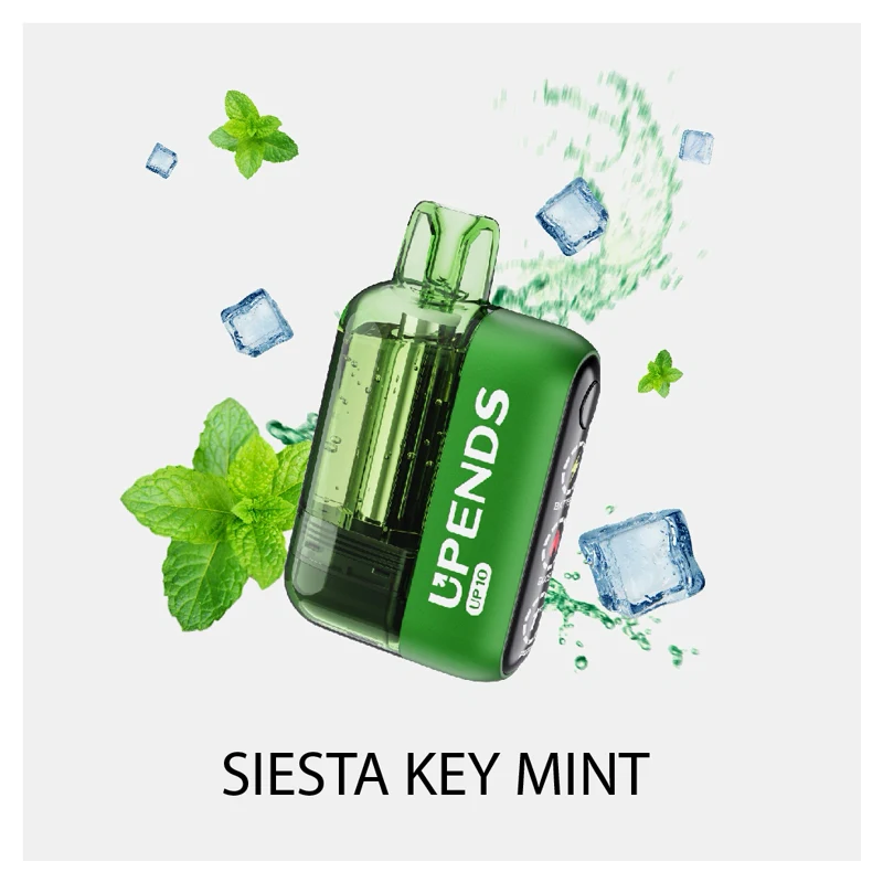 UPENDS UP10 30K Disposable Vape 5% 18ml SIESTA KEY MINT