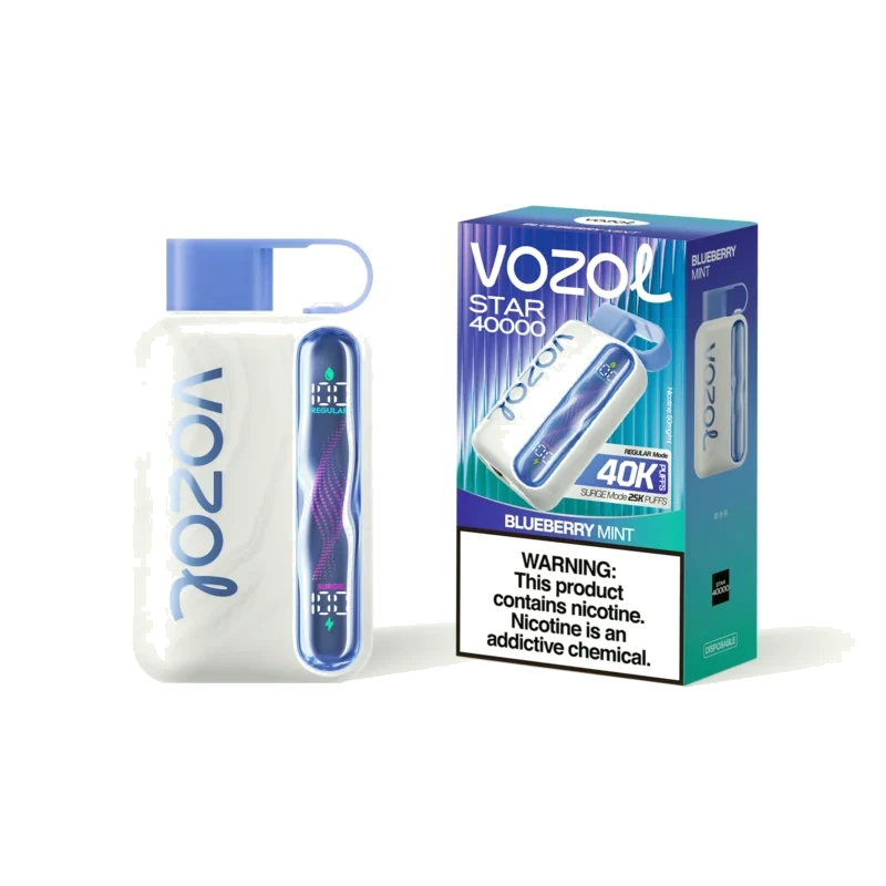 VOZOL STAR 40K 2% 18ml BLUEBERRY MINT